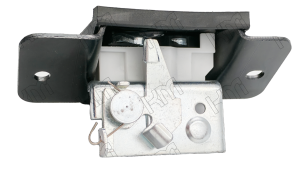 BL/REN5